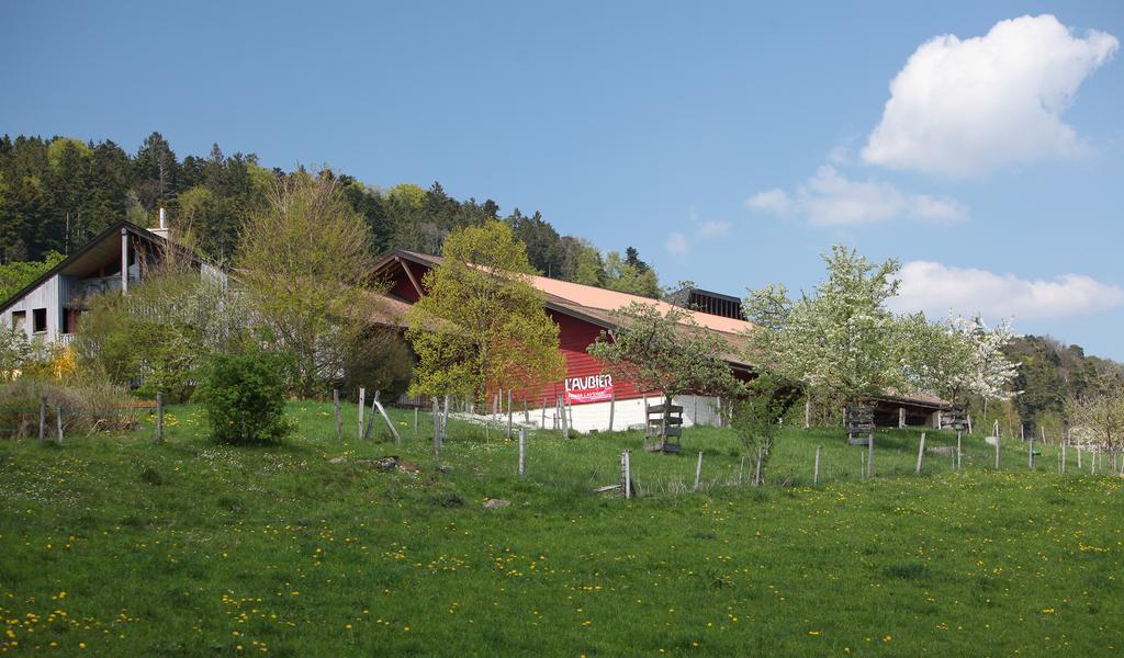 Ecohotel L'Aubier Montezillon Exterior photo